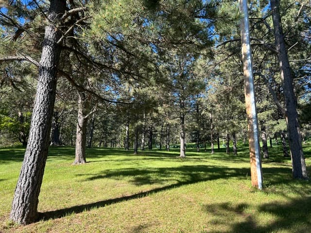 Common areas and gathering spaces at the resort
